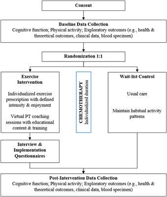 Exercise during chemotherapy to prevent breast cancer-related cognitive decline: protocol for a pilot randomized controlled trial